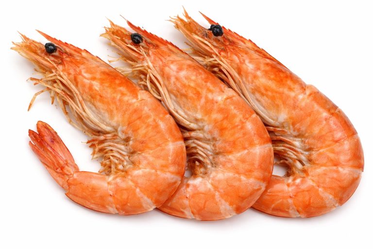 Shrimps