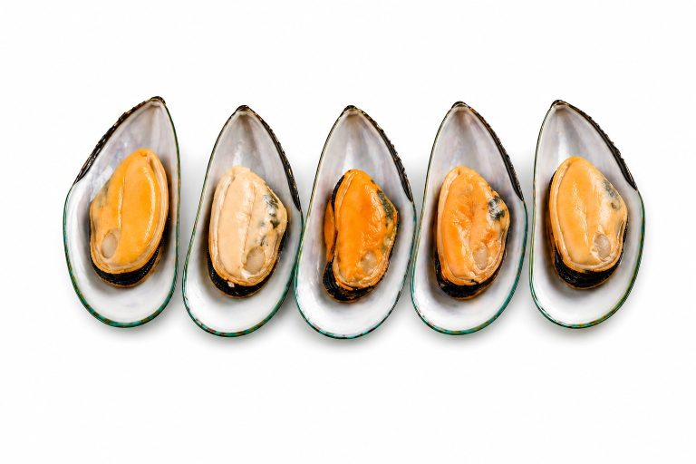 Mussels