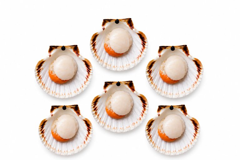 Scallops