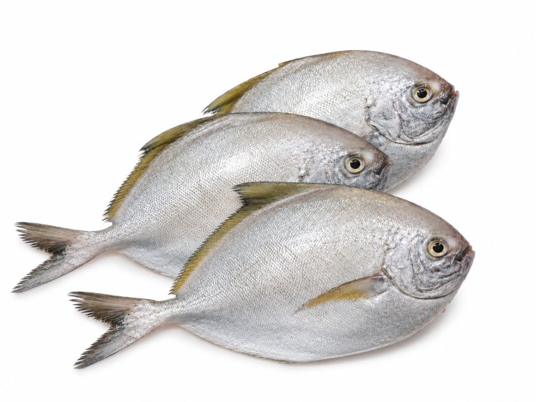 Whole Fish